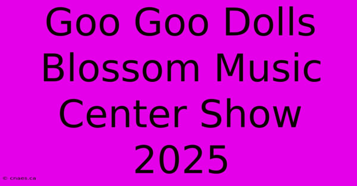 Goo Goo Dolls Blossom Music Center Show 2025 