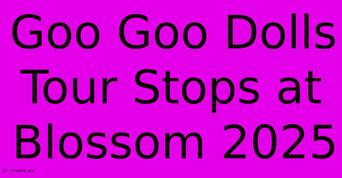 Goo Goo Dolls Tour Stops At Blossom 2025