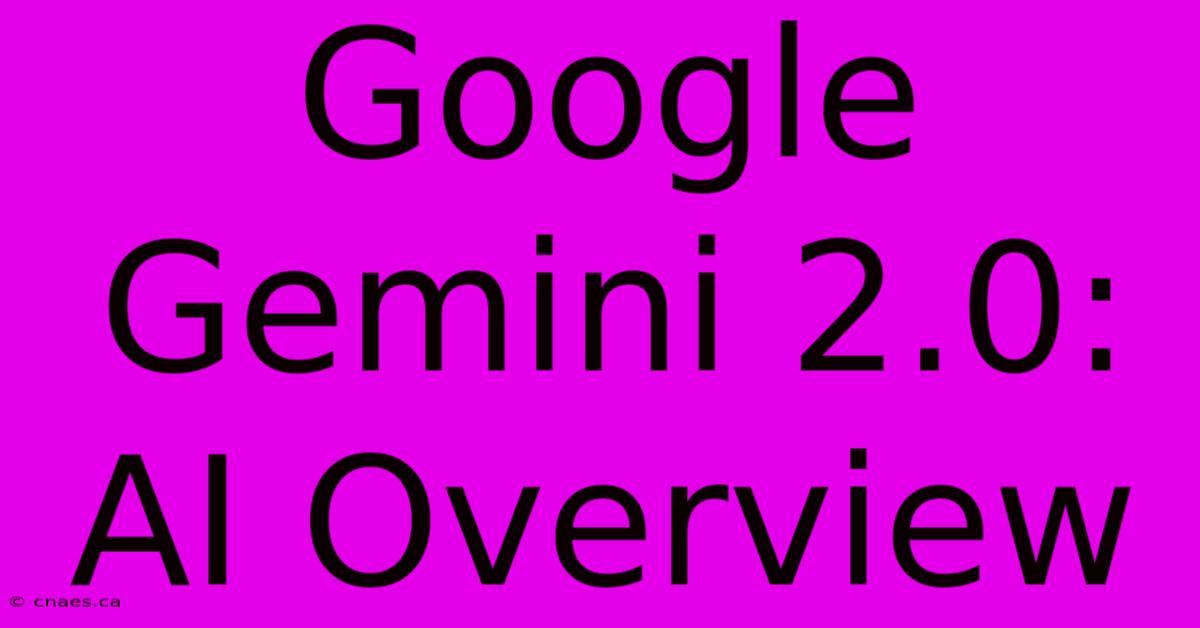 Google Gemini 2.0:  AI Overview