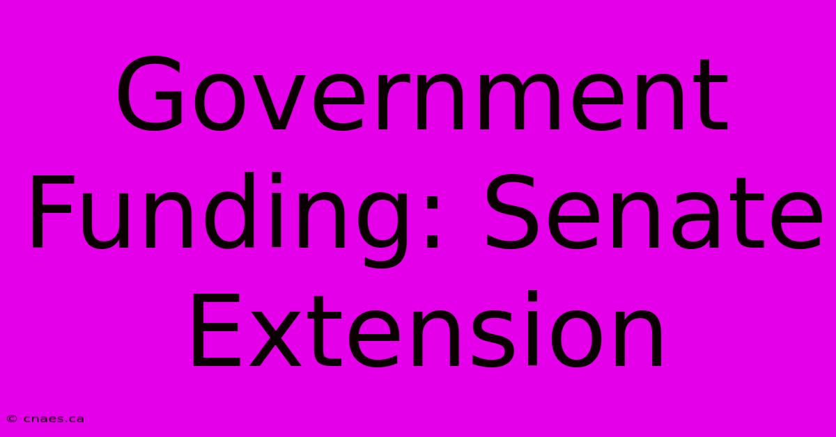 Government Funding: Senate Extension