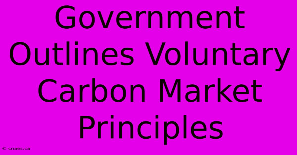 Government Outlines Voluntary Carbon Market Principles