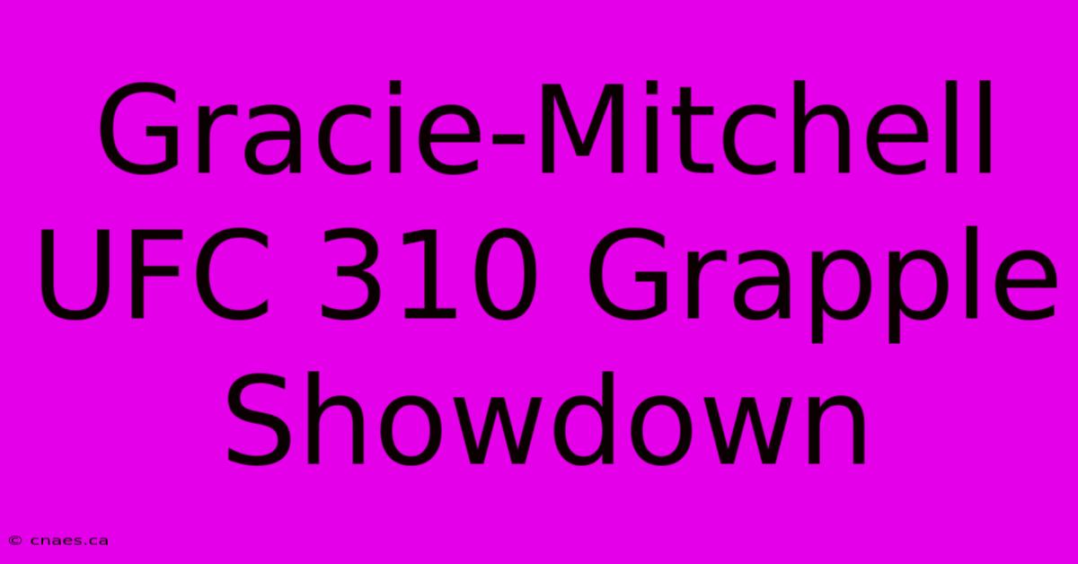 Gracie-Mitchell UFC 310 Grapple Showdown