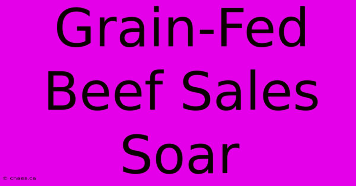 Grain-Fed Beef Sales Soar