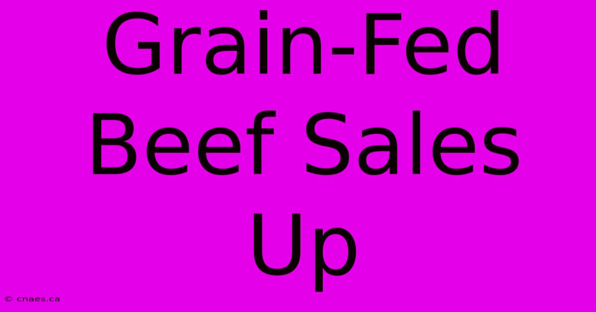 Grain-Fed Beef Sales Up