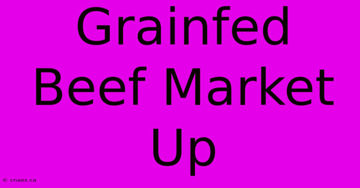 Grainfed Beef Market Up