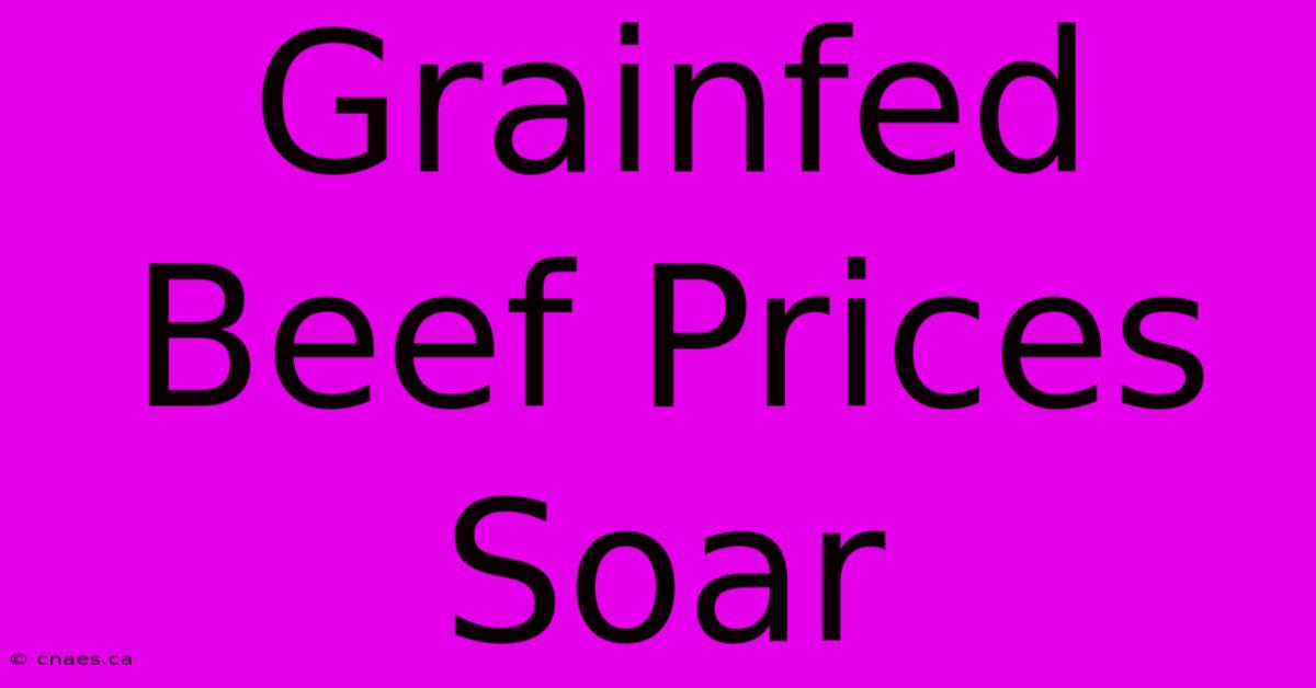 Grainfed Beef Prices Soar