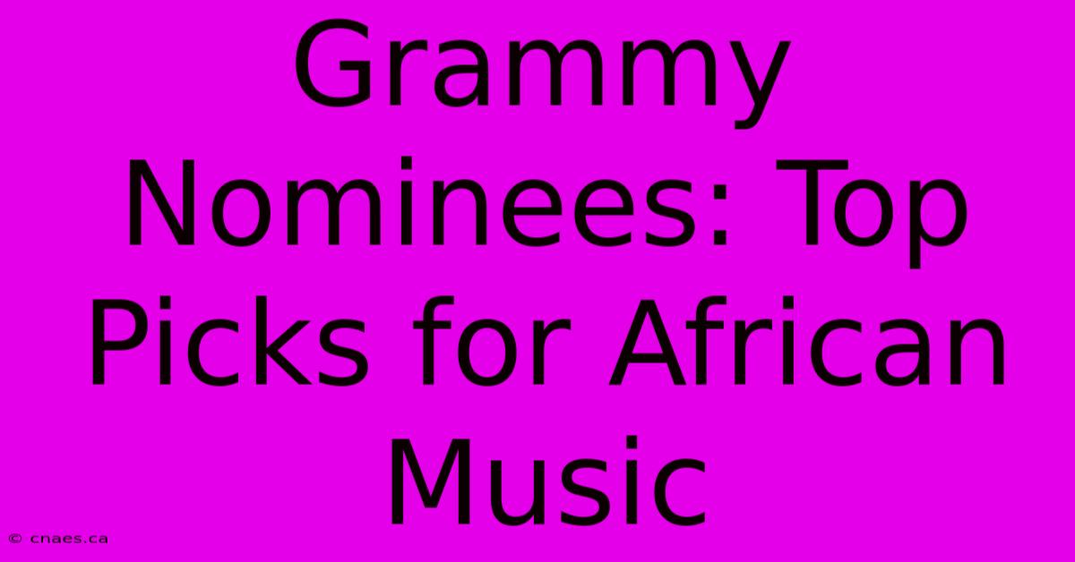 Grammy Nominees: Top Picks For African Music