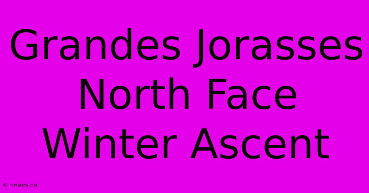 Grandes Jorasses North Face Winter Ascent