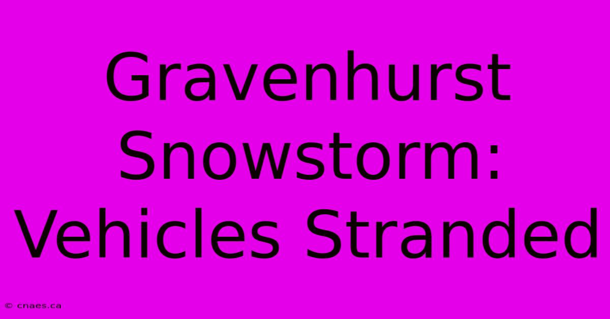 Gravenhurst Snowstorm: Vehicles Stranded