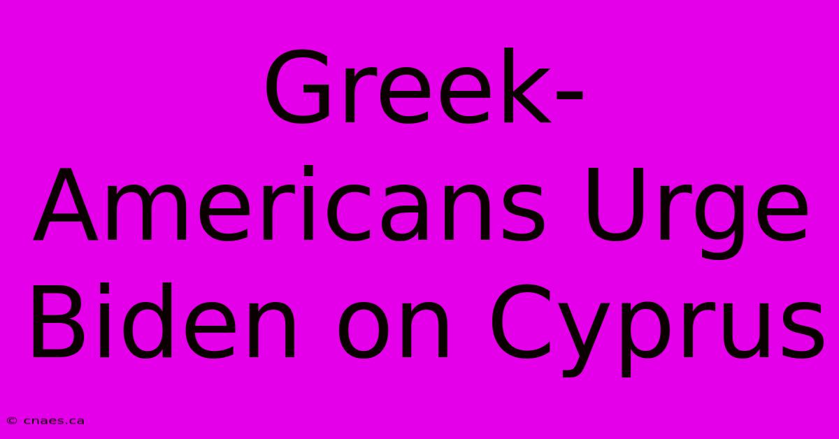 Greek-Americans Urge Biden On Cyprus