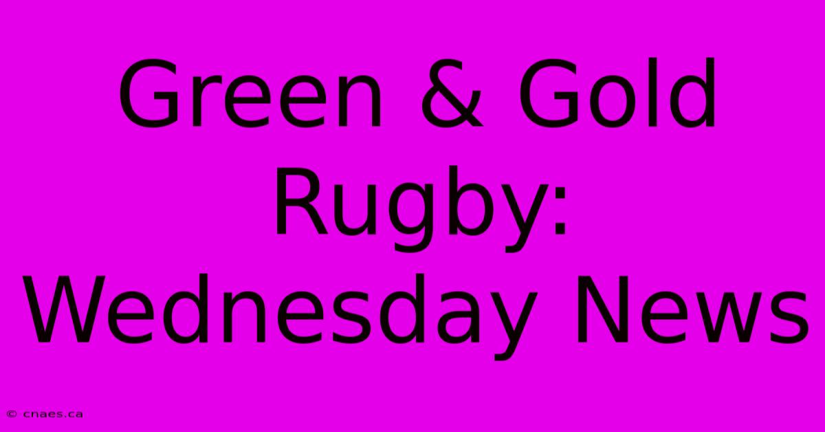 Green & Gold Rugby: Wednesday News