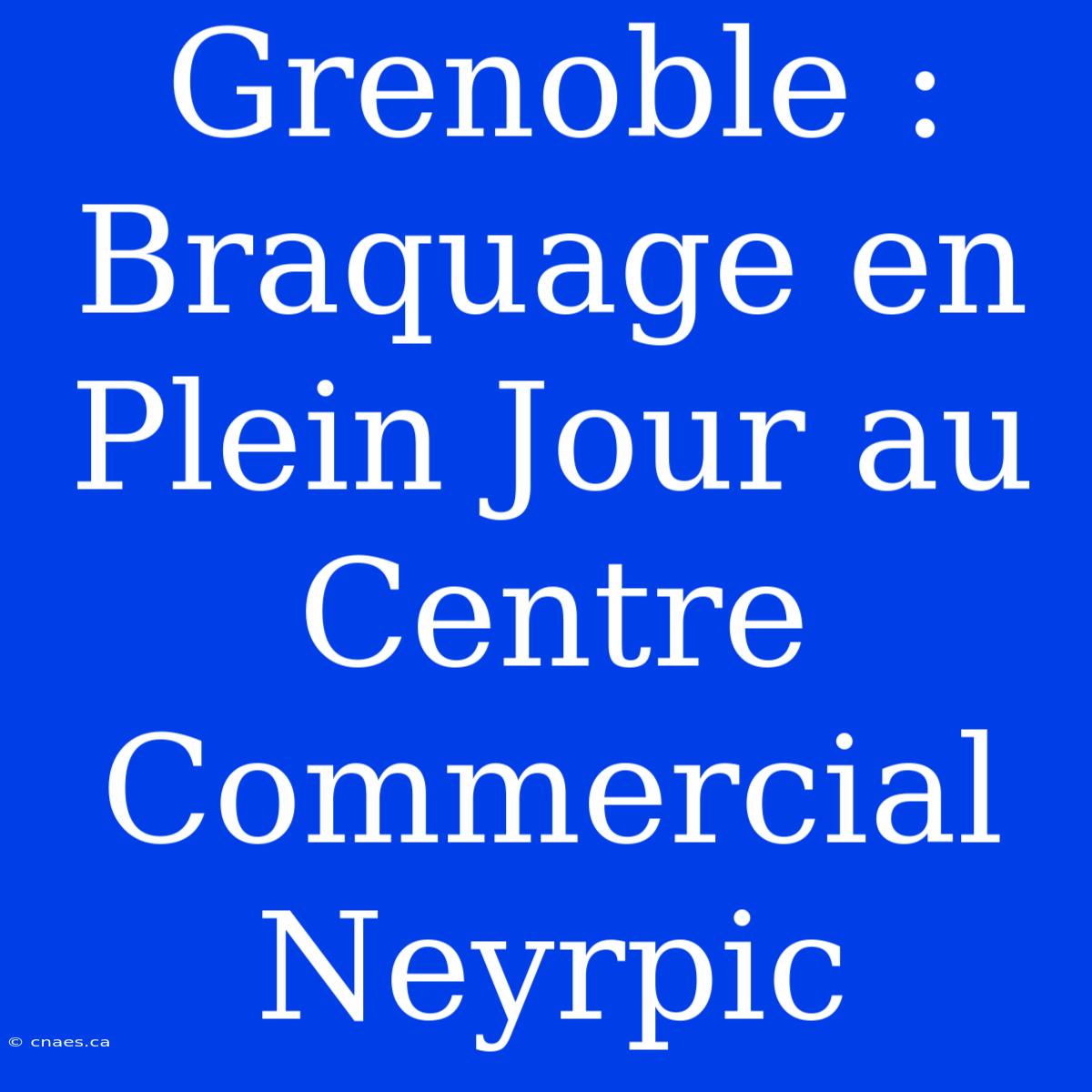 Grenoble : Braquage En Plein Jour Au Centre Commercial Neyrpic