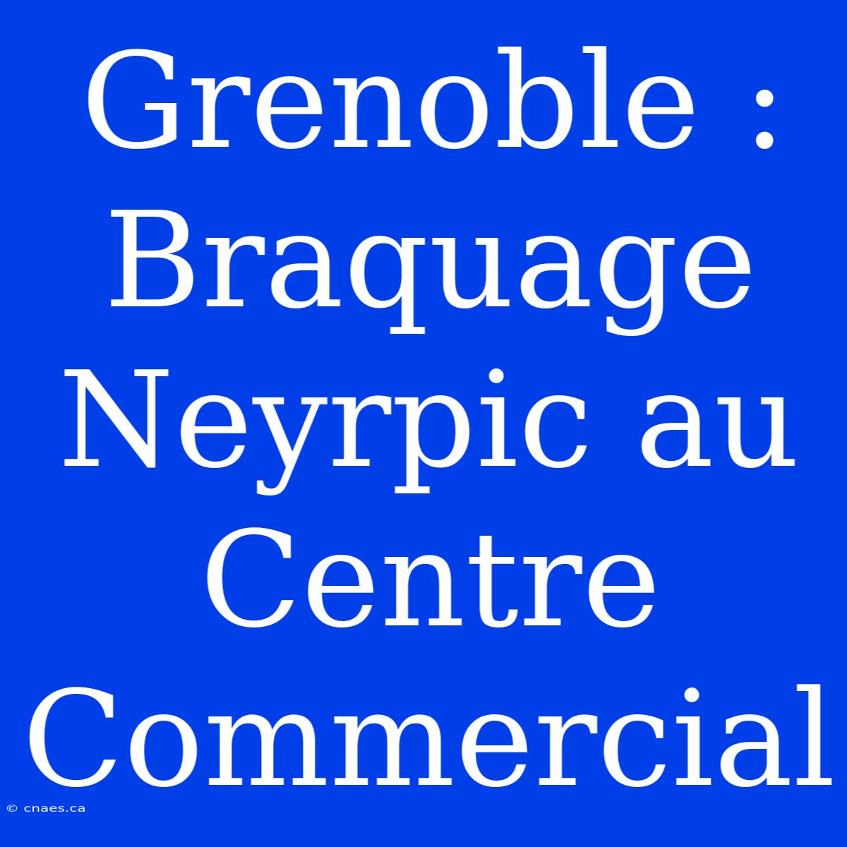 Grenoble : Braquage Neyrpic Au Centre Commercial