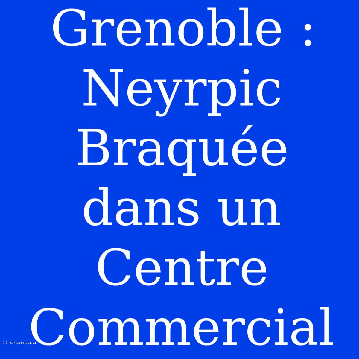 Grenoble : Neyrpic Braquée Dans Un Centre Commercial