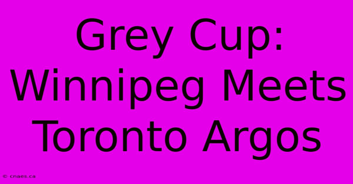 Grey Cup: Winnipeg Meets Toronto Argos