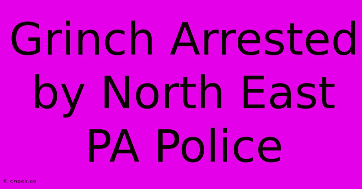 Grinch Arrested By North East PA Police