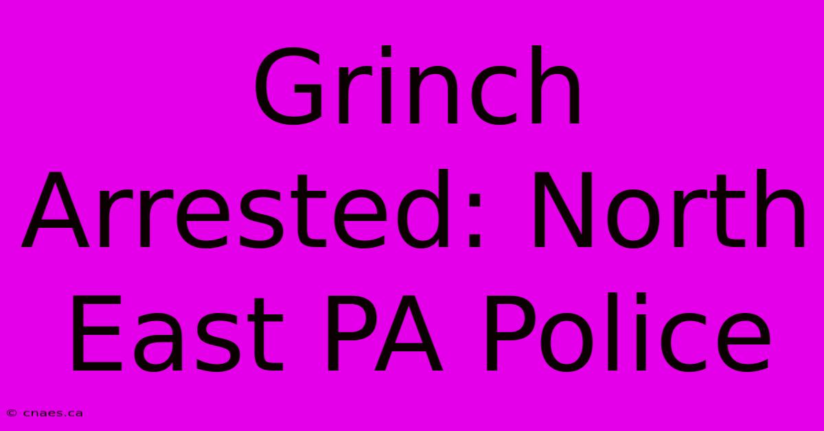 Grinch Arrested: North East PA Police