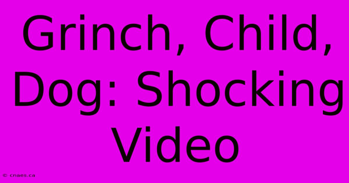 Grinch, Child, Dog: Shocking Video