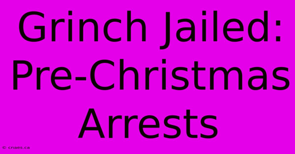 Grinch Jailed: Pre-Christmas Arrests