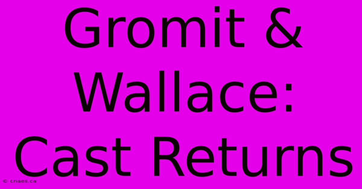 Gromit & Wallace: Cast Returns