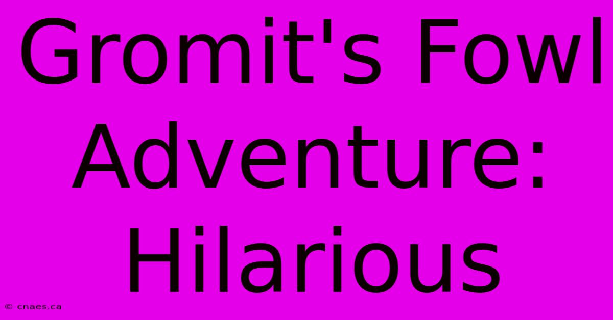 Gromit's Fowl Adventure: Hilarious