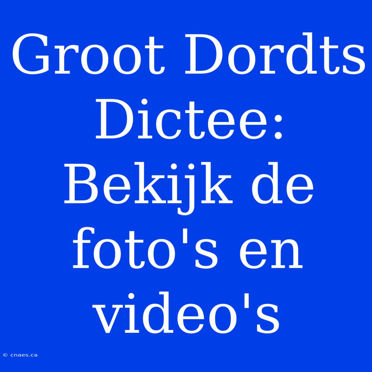 Groot Dordts Dictee: Bekijk De Foto's En Video's