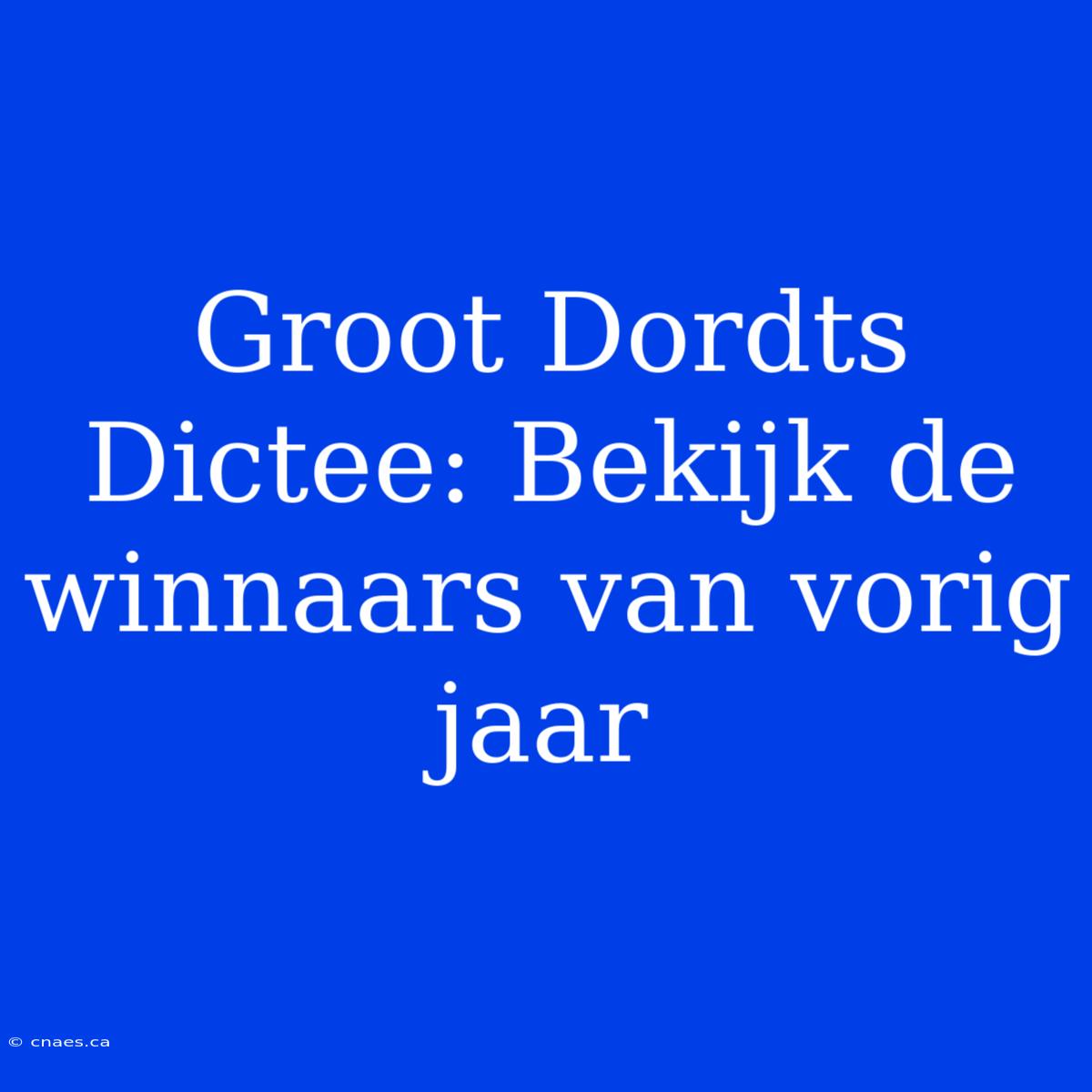 Groot Dordts Dictee: Bekijk De Winnaars Van Vorig Jaar