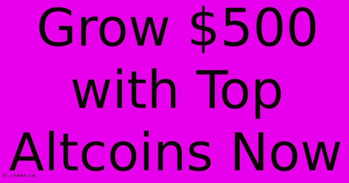 Grow $500 With Top Altcoins Now