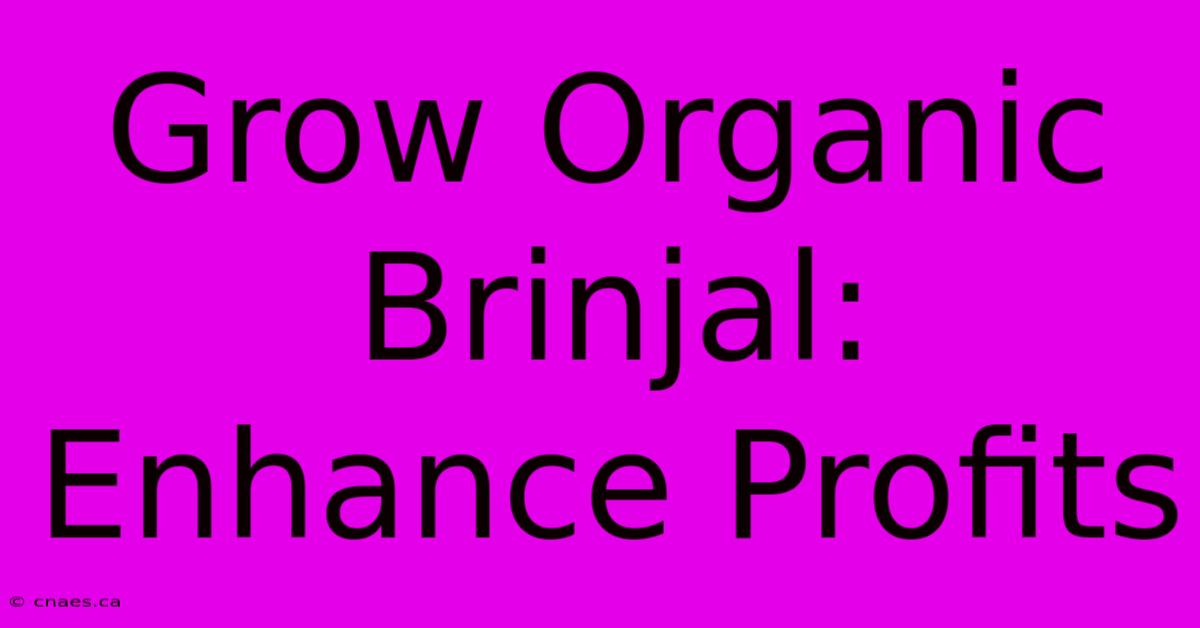 Grow Organic Brinjal: Enhance Profits