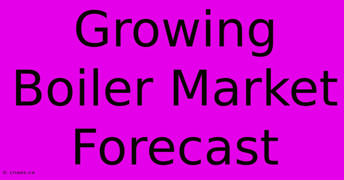 Growing Boiler Market Forecast