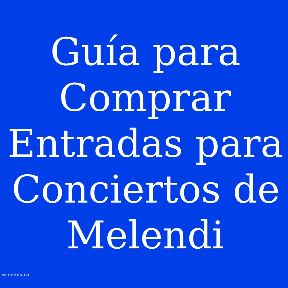 Guía Para Comprar Entradas Para Conciertos De Melendi