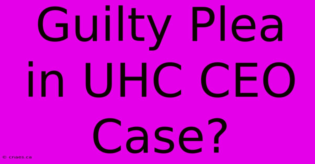 Guilty Plea In UHC CEO Case?