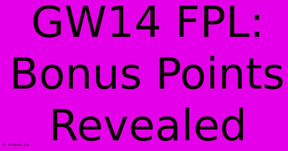 GW14 FPL: Bonus Points Revealed