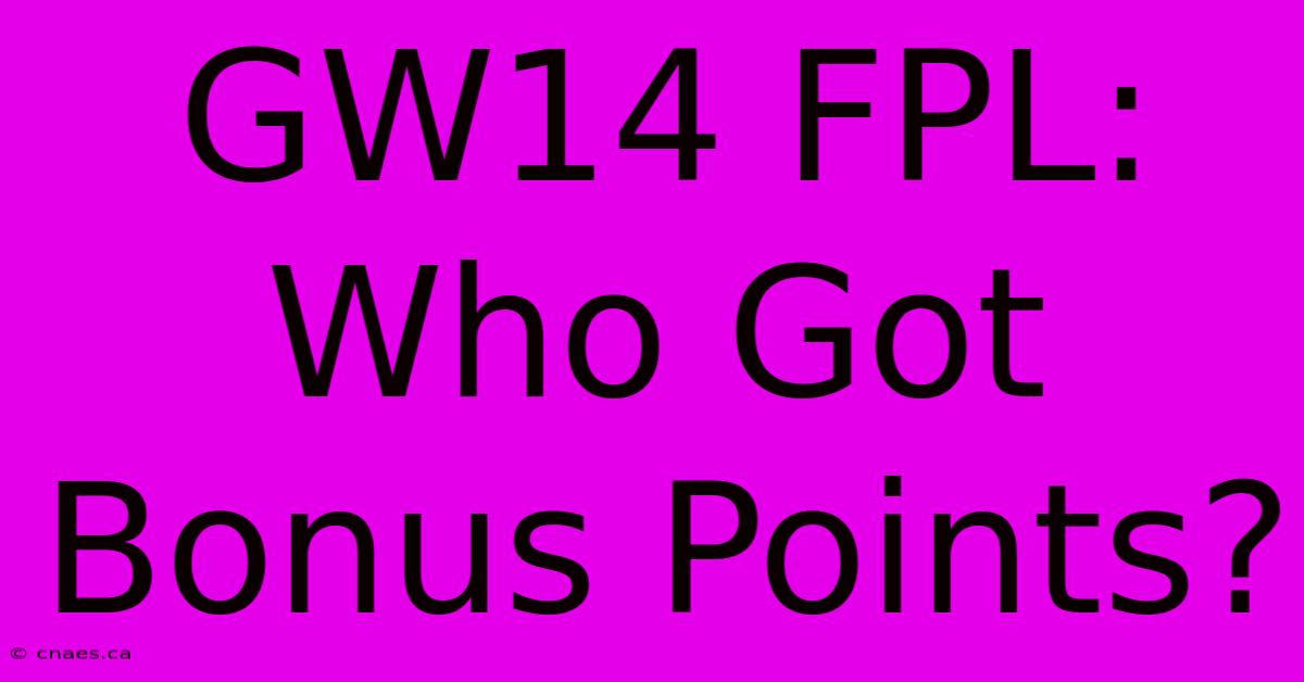 GW14 FPL: Who Got Bonus Points?