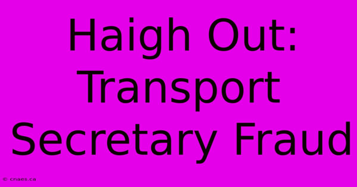 Haigh Out: Transport Secretary Fraud