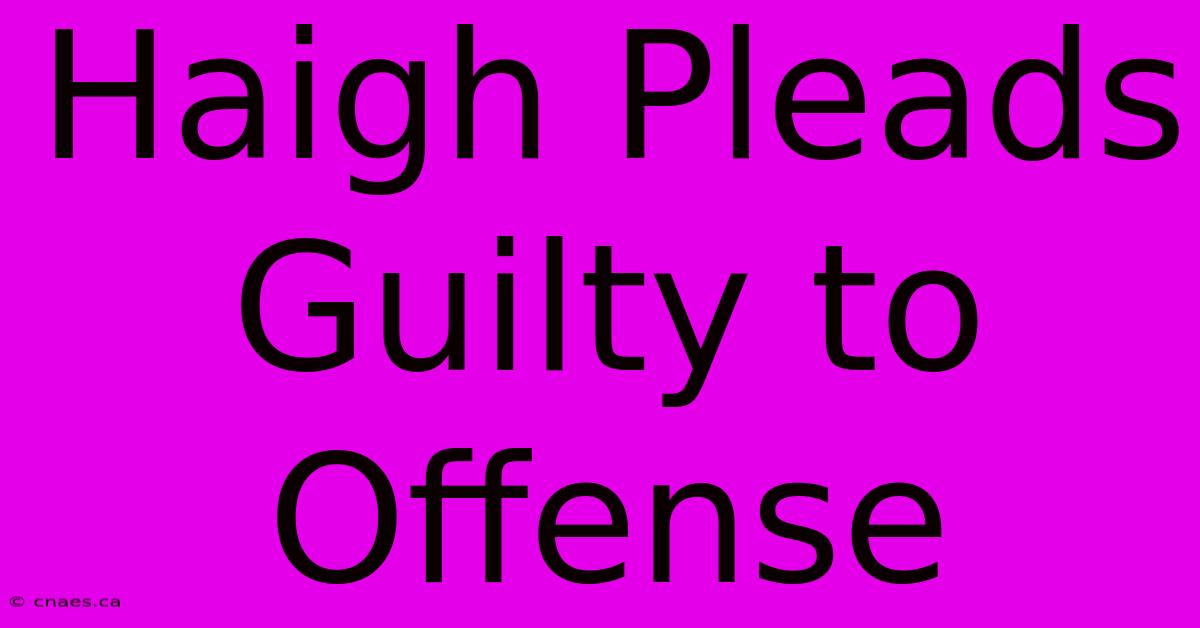 Haigh Pleads Guilty To Offense