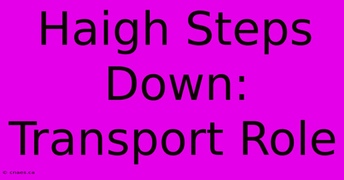 Haigh Steps Down: Transport Role