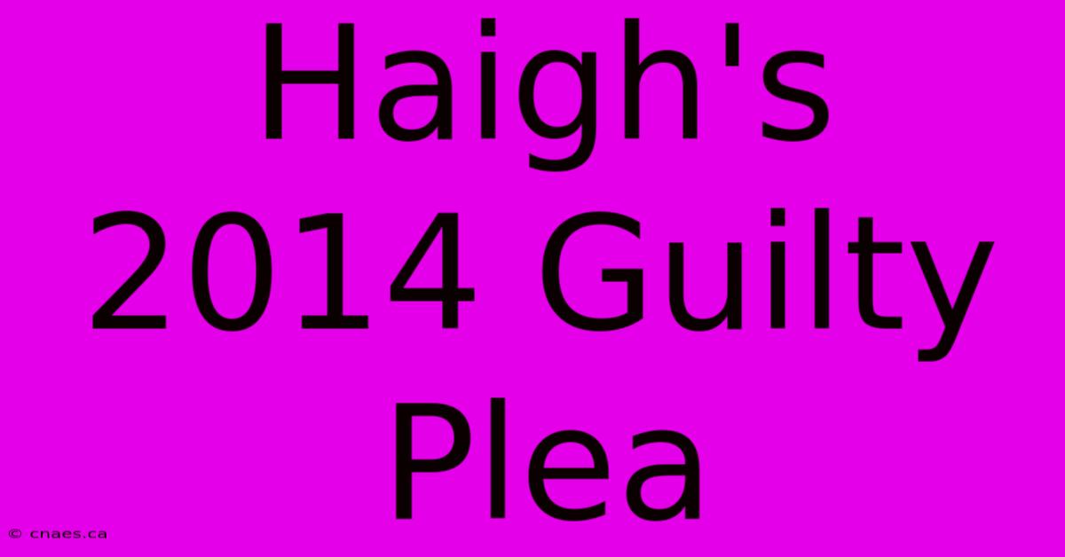 Haigh's 2014 Guilty Plea