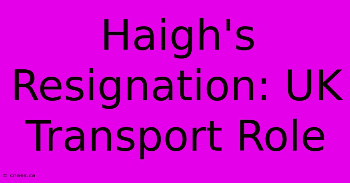 Haigh's Resignation: UK Transport Role