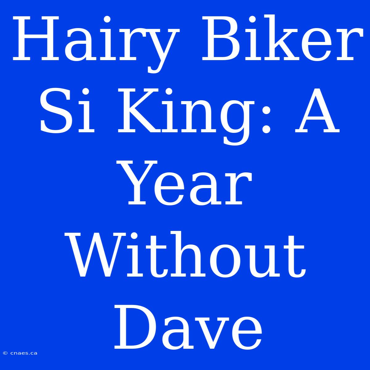 Hairy Biker Si King: A Year Without Dave