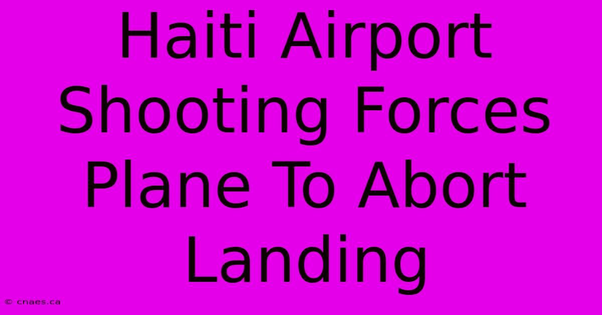 Haiti Airport Shooting Forces Plane To Abort Landing