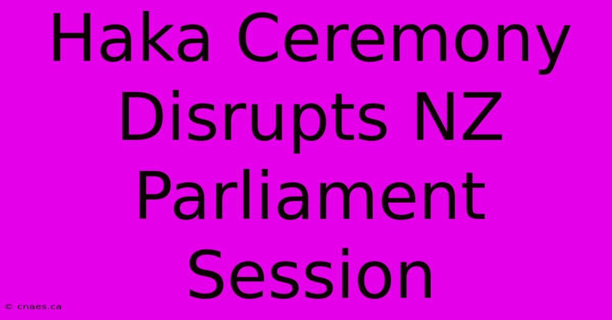 Haka Ceremony Disrupts NZ Parliament Session 