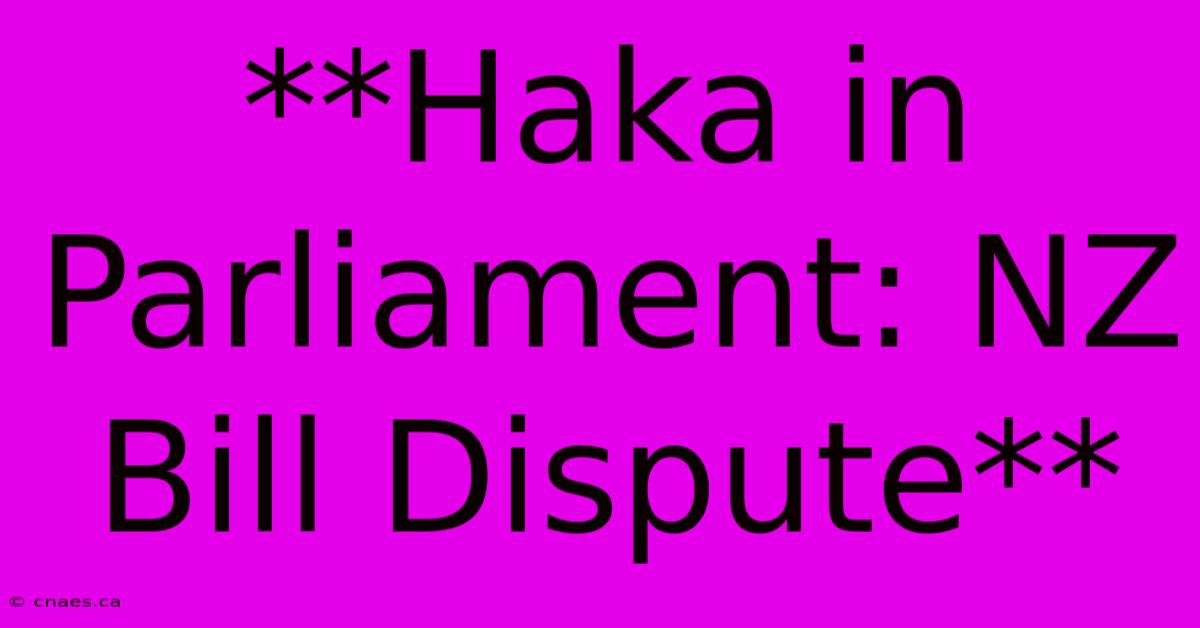 **Haka In Parliament: NZ Bill Dispute**