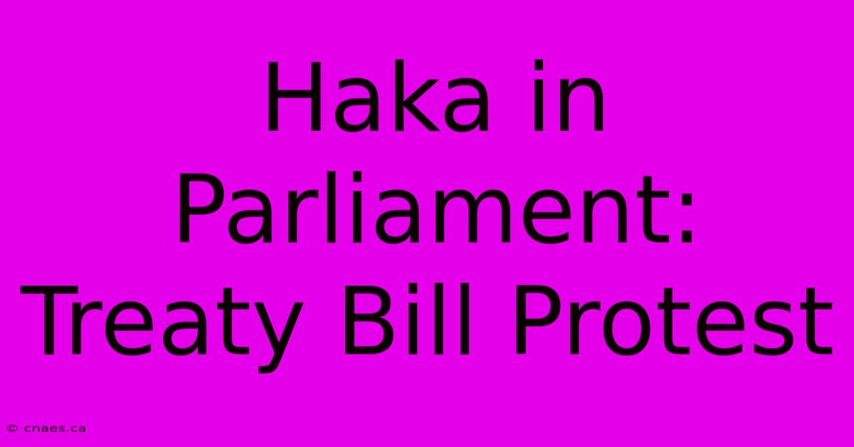 Haka In Parliament: Treaty Bill Protest