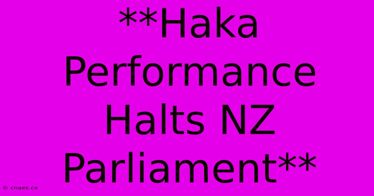 **Haka Performance Halts NZ Parliament** 