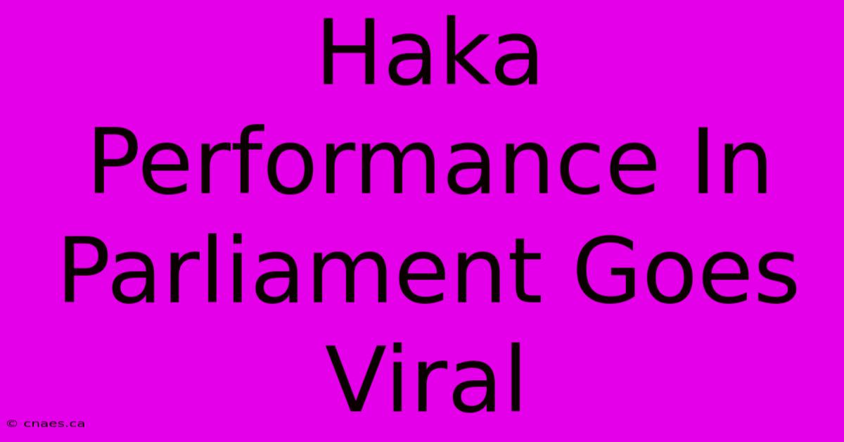 Haka Performance In Parliament Goes Viral