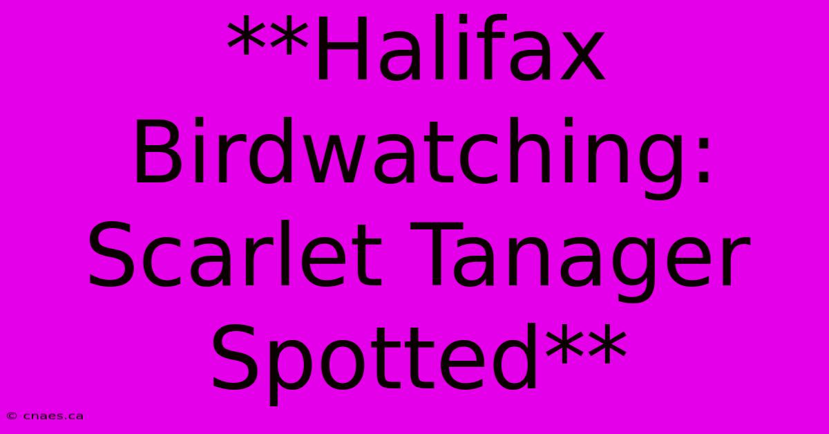 **Halifax Birdwatching: Scarlet Tanager Spotted** 