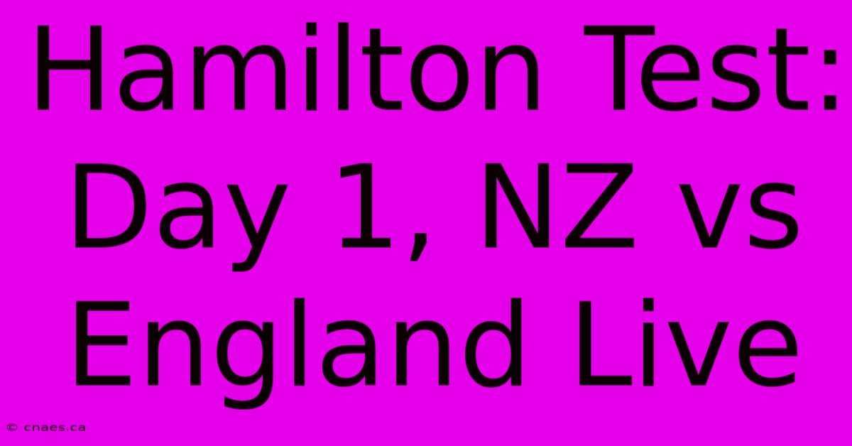 Hamilton Test: Day 1, NZ Vs England Live