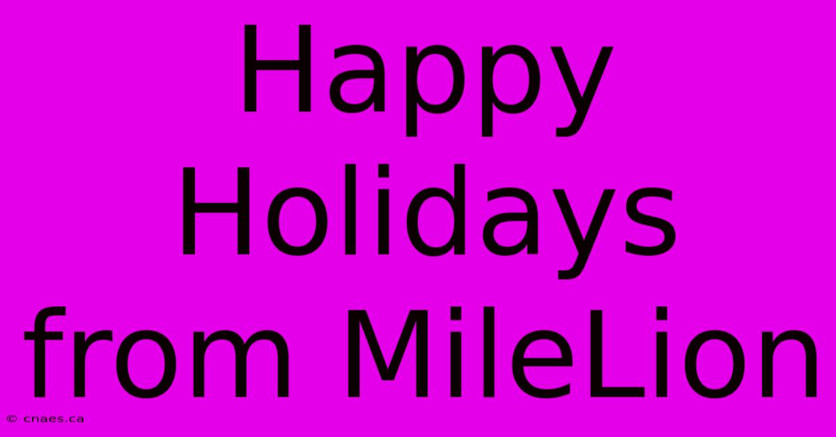 Happy Holidays From MileLion