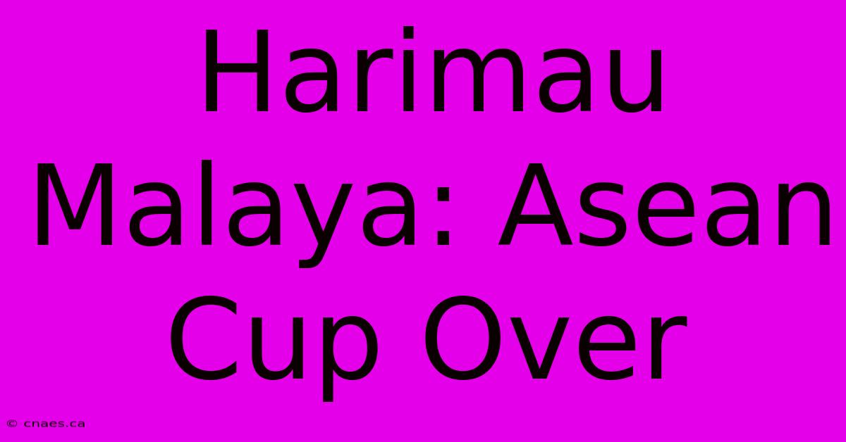 Harimau Malaya: Asean Cup Over